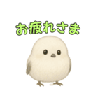 日常会話！シマエナガのゆるふわ可愛い♥（個別スタンプ：4）