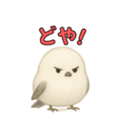 日常会話！シマエナガのゆるふわ可愛い♥（個別スタンプ：5）