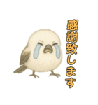 日常会話！シマエナガのゆるふわ可愛い♥（個別スタンプ：10）