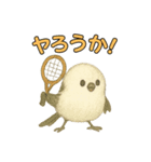 日常会話！シマエナガのゆるふわ可愛い♥（個別スタンプ：12）