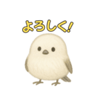 日常会話！シマエナガのゆるふわ可愛い♥（個別スタンプ：16）
