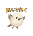 日常会話！シマエナガのゆるふわ可愛い♥（個別スタンプ：17）