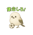 日常会話！シマエナガのゆるふわ可愛い♥（個別スタンプ：19）