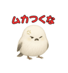 日常会話！シマエナガのゆるふわ可愛い♥（個別スタンプ：21）