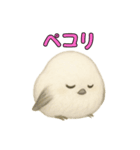 日常会話！シマエナガのゆるふわ可愛い♥（個別スタンプ：27）