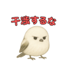 日常会話！シマエナガのゆるふわ可愛い♥（個別スタンプ：31）