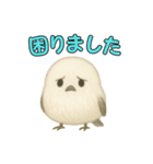 日常会話！シマエナガのゆるふわ可愛い♥（個別スタンプ：34）