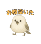 日常会話！シマエナガのゆるふわ可愛い♥（個別スタンプ：35）