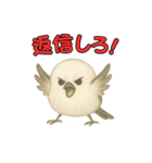 日常会話！シマエナガのゆるふわ可愛い♥（個別スタンプ：39）