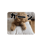 僕の1日ルーチーティーン（個別スタンプ：4）