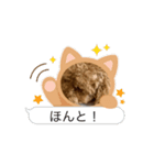 僕の1日ルーチーティーン（個別スタンプ：5）