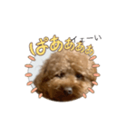 僕の1日ルーチーティーン（個別スタンプ：6）