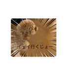 僕の1日ルーチーティーン（個別スタンプ：8）