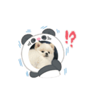こむぎさん⑸（個別スタンプ：4）