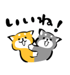 ふでしば【感情】柴犬（個別スタンプ：2）