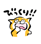 ふでしば【感情】柴犬（個別スタンプ：4）