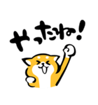 ふでしば【感情】柴犬（個別スタンプ：12）