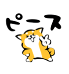 ふでしば【感情】柴犬（個別スタンプ：16）