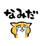 ふでしば【感情】柴犬（個別スタンプ：24）