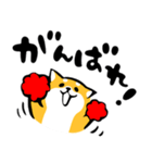 ふでしば【感情】柴犬（個別スタンプ：28）