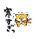 ふでしば【感情】柴犬（個別スタンプ：40）