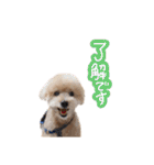 ラブがいっぱい（使いやすいよ）（個別スタンプ：4）