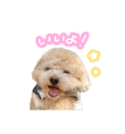 ラブがいっぱい（使いやすいよ）（個別スタンプ：5）