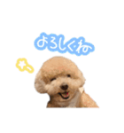 ラブがいっぱい（使いやすいよ）（個別スタンプ：11）