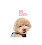 ラブがいっぱい（使いやすいよ）（個別スタンプ：15）