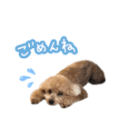 ラブがいっぱい（使いやすいよ）（個別スタンプ：21）