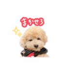 ラブがいっぱい（使いやすいよ）（個別スタンプ：28）