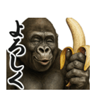 ウザゴリラの短文返信【日常/挨拶】（個別スタンプ：7）