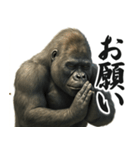ウザゴリラの短文返信【日常/挨拶】（個別スタンプ：11）