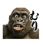 ウザゴリラの短文返信【日常/挨拶】（個別スタンプ：14）