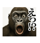 ウザゴリラの短文返信【日常/挨拶】（個別スタンプ：29）