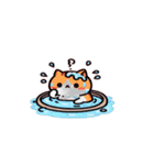 お風呂猫 本気だよ,（個別スタンプ：29）