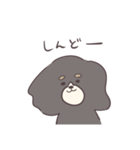 社不なキャバリア マロさん（個別スタンプ：14）
