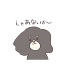 社不なキャバリア マロさん（個別スタンプ：24）