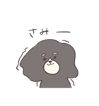 社不なキャバリア マロさん（個別スタンプ：30）