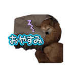 みちよとまりこ＆きなちゃん（個別スタンプ：13）