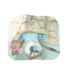 みちよとまりこ＆きなちゃん（個別スタンプ：21）