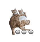 ぼくあんこ？（個別スタンプ：4）
