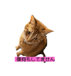 ぼくあんこ？（個別スタンプ：7）