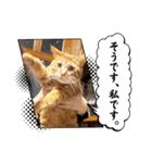 ぼくあんこ？（個別スタンプ：9）