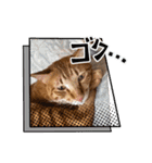 ぼくあんこ？（個別スタンプ：11）