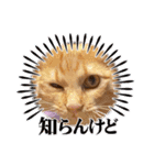 ぼくあんこ？（個別スタンプ：12）