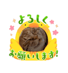 ぼくあんこ？（個別スタンプ：14）