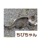 猫ちゃんたち休憩ですよ〜（個別スタンプ：3）