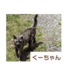 猫ちゃんたち休憩ですよ〜（個別スタンプ：13）