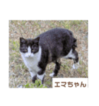 猫ちゃんたち休憩ですよ〜（個別スタンプ：14）